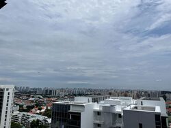 Amber 45 (D15), Apartment #382412771